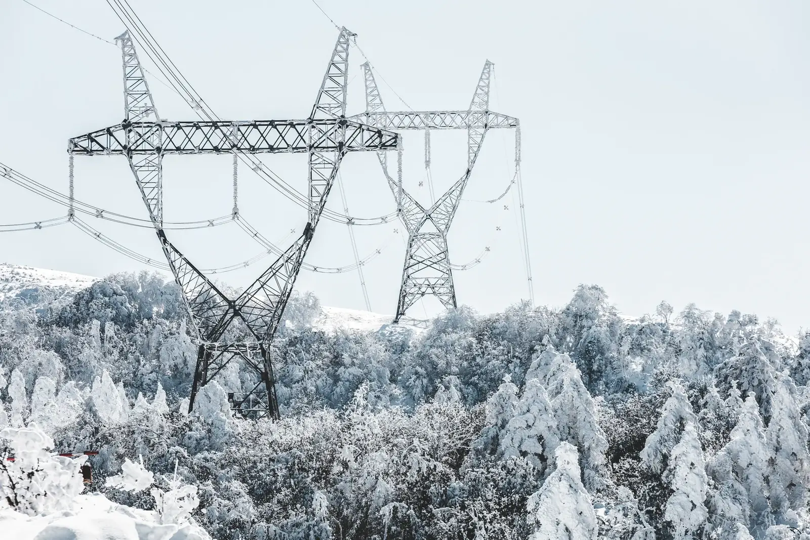 A scenic view of transmission towers amidst snow-covered trees during winter.