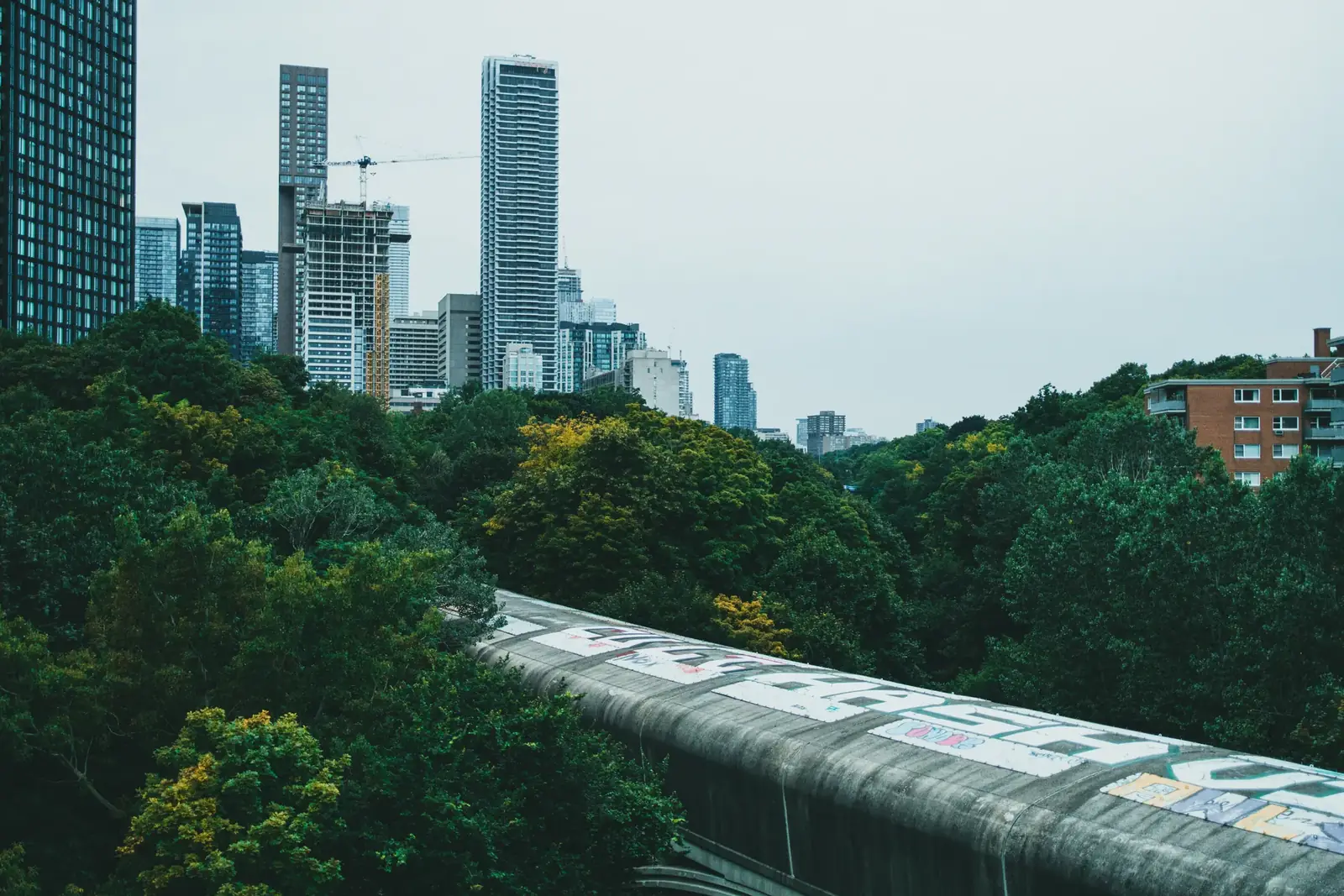 City skyline with skyscrapers rising over lush green trees, blending urban and nature.