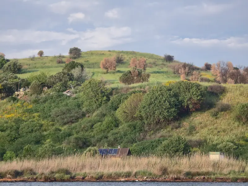 Peaceful hillside with lush greenery and a solar-paneled cabin by the water.