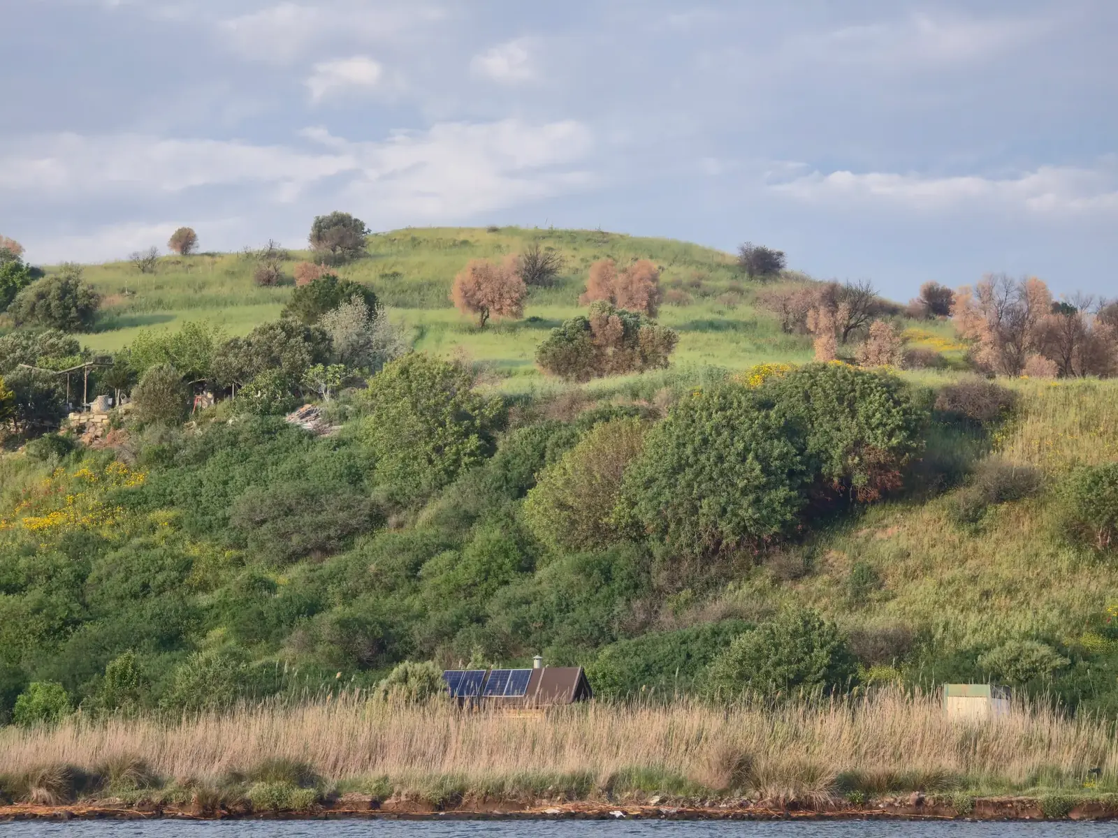 Peaceful hillside with lush greenery and a solar-paneled cabin by the water.