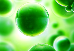 Green Hydrogen as a Potential Alternative Fuel Source